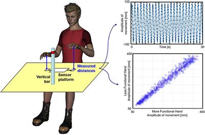 Visuomotor Integration for Coupled <mark class="highlighted">Hand Movements</mark> in Healthy Subjects and Patients With Stroke